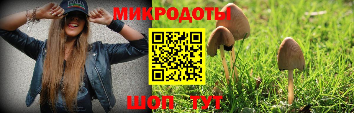 Галлюциногенные грибы ЛСД  Вход с VPN  цены   Новочеркасск 