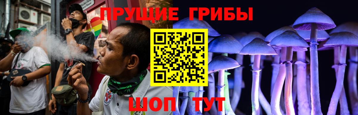 Галлюциногенные грибы мухоморы Новочеркасск
