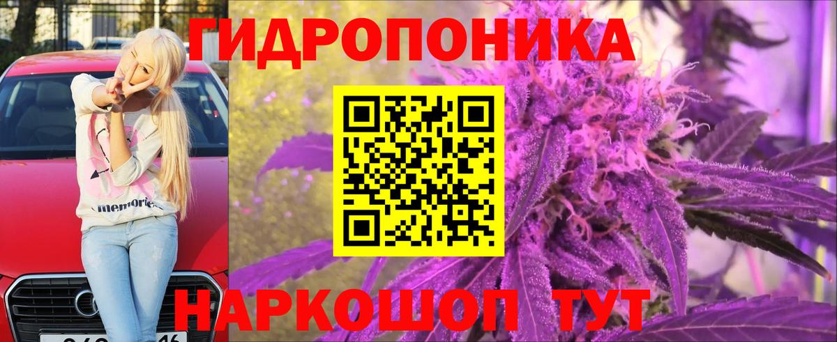 Бошки Шишки гибрид Новочеркасск